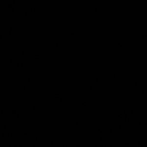 Meet your Posher, Alaunya